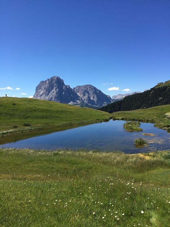 Garni Mezdi Santa Cristina Val Gardena Ngoại thất bức ảnh